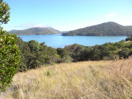 South Cumberland Islands National Park - Phillip Island Accommodation 0