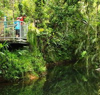 Djiru National Park - Phillip Island Accommodation
