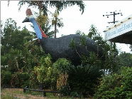  Phillip Island Accommodation