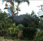 The Big Cassowary - Phillip Island Accommodation