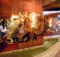 Riversleigh Fossil Centre - Phillip Island Accommodation