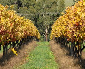 Wild Dog Winery & Restaurant - Phillip Island Accommodation 0