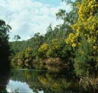 Warrandyte State Park - Phillip Island Accommodation