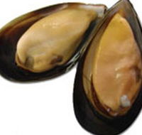 Sea Bounty - Phillip Island Accommodation
