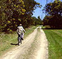 Koomba Park - Phillip Island Accommodation