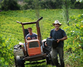 Kellybrook Winery & Kelly Brothers Cider - Phillip Island Accommodation 0