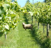 Passing Clouds - Phillip Island Accommodation