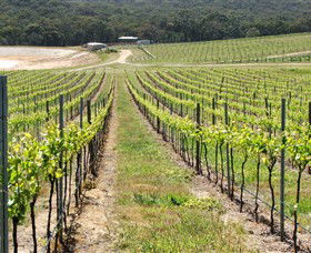 M Chapoutier Australia - Phillip Island Accommodation 0