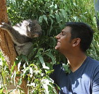 Healesville Sanctuary - Phillip Island Accommodation