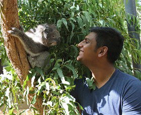 Healesville Sanctuary - Phillip Island Accommodation 0