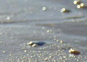 Walkerville South VIC Phillip Island Accommodation