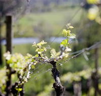 Eldridge Estate of Red Hill - Phillip Island Accommodation