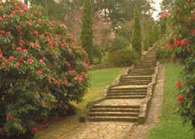 Maroondah Reservoir Park - Phillip Island Accommodation 0
