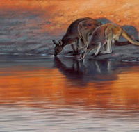 Steve Morvell Wildlife Art - Phillip Island Accommodation