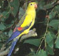 Lake Hindmarsh Reserve - Phillip Island Accommodation