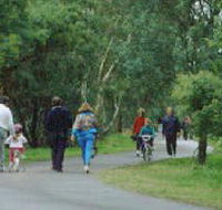 Birrarrung Park - Phillip Island Accommodation