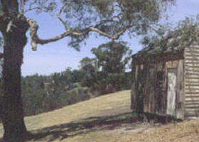 Hawkstowe Picnic Area - Phillip Island Accommodation 0