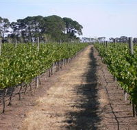 Mount Beckworth Wines - Phillip Island Accommodation