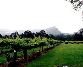 Cambewarra Estate Wines - Phillip Island Accommodation 0