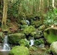 Budderoo National Park - Phillip Island Accommodation