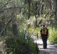 Barren Grounds Nature Reserve - Phillip Island Accommodation