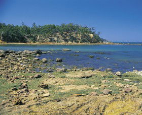 Aslings Beach - Phillip Island Accommodation 0