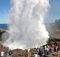 Kiama Blowhole - Phillip Island Accommodation