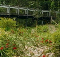 Eurobodalla Botanic Gardens - Phillip Island Accommodation