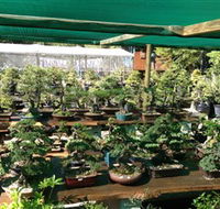 Bonsai at the Bay - Phillip Island Accommodation