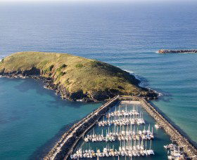 Muttonbird Island Nature Reserve - Phillip Island Accommodation 0