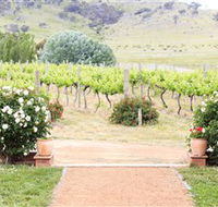 Brindabella Hills Winery - Phillip Island Accommodation