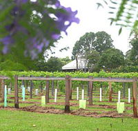 Douglas Vale Historic Homestead  Vineyard - Phillip Island Accommodation