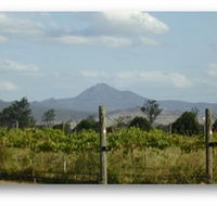 Ironbark Ridge Vineyard - Phillip Island Accommodation