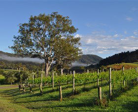 Sarabah Estate Vineyard - Phillip Island Accommodation 1