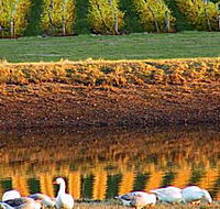 Pipers Brook Vineyard - Phillip Island Accommodation