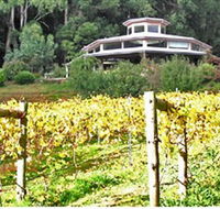 Peveril Vineyard/Beechy Berries - Phillip Island Accommodation