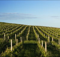 Delamere Vineyard - Phillip Island Accommodation