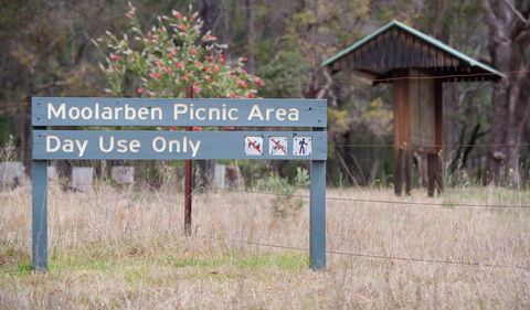 Moolarben Picnic Area - Phillip Island Accommodation 1