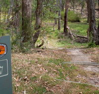 Moolarben picnic area - Phillip Island Accommodation