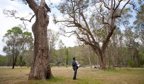 Moolarben Picnic Area - Phillip Island Accommodation 2