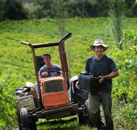 Kellybrook Winery Kelly Brothers Cider  Riders Brew Co. - Phillip Island Accommodation