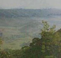 Mount Granya State Park - Phillip Island Accommodation