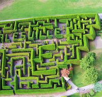 Hedgend Maze and Healesville Laser Sport - Phillip Island Accommodation