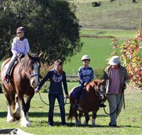 Bathurst Farm Experience - Phillip Island Accommodation