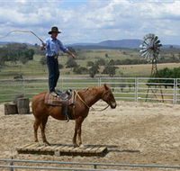 Boggy Creek Shows - Phillip Island Accommodation