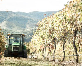 Logan Wines - Phillip Island Accommodation 5