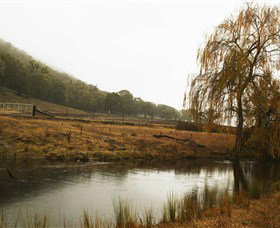 Logan Wines - Phillip Island Accommodation 6