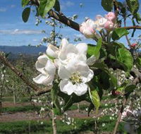 Mouat's Farm - Phillip Island Accommodation