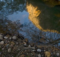 Abercrombie Karst Conservation Reserve - Phillip Island Accommodation