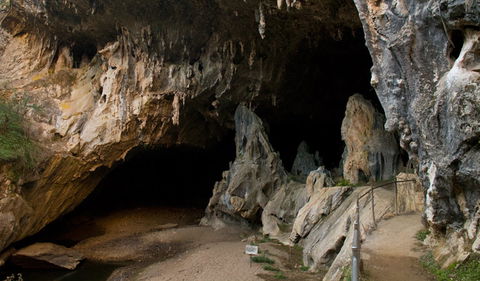 Abercrombie Karst Conservation Reserve - Phillip Island Accommodation 2